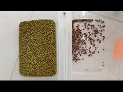 Сорт цвета бобов