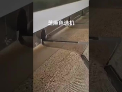 сортировщица цвета сезама