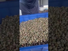 Сортировщик для гороха