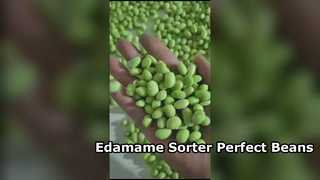 Гусеничный сортировщик цвета Edamame 180 — высокая производительность и низкий уровень поломки.