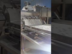 Двухслойный ленточный сортировщик кешью по цвету.