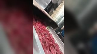 Два гусеничных сортировщика цвета перца чили