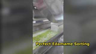Гусеничный сортировщик цвета Edamame 120