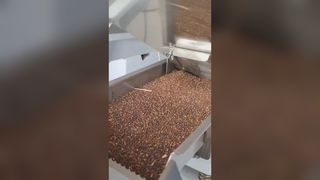 Сортировщик по цвету семян редиса
