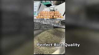 32-канальный сортировщик риса по цвету для малых и средних рисовых мельниц.